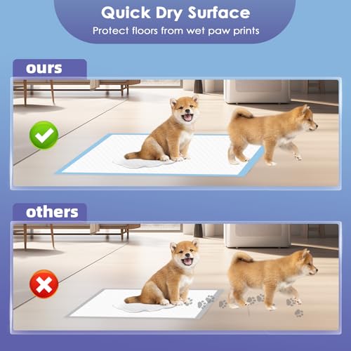 Image of SCLOSE Extra Large Puppy Pee Pads, 30 inchx36 inch 30 Counts Pee Pads for Dogs XL, Puppy Pads Super Absorbent & Leak-Proof, Jumbo Disposable Training Pads, Wee Wee Pads for Dogs, Potty Pads, Doggy Pads
