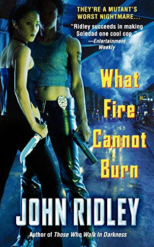 What Fire Cannot Burn view 2