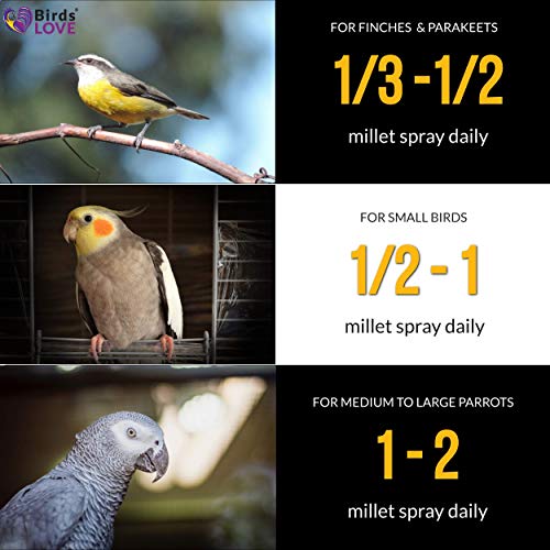Birds LOVE Wholesome & Lovely Spray Millet GMO Free No Pesticide (No Stems Only Edible Tops) for Parrots Birds Cockatiel… - Image 6