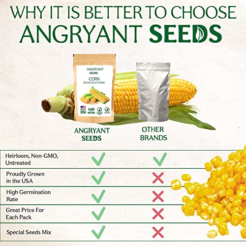 Corn Seeds For Planting Indoors And Outdoors - 130+ Non Gmo, Bodacious Hybrid Seeds Per Packet - 100% Usa Grown - Heirloom Seeds For Home Vegetable Garden #TOP5