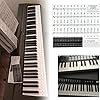 Stickers Pour 49/61/76/88 Touches, Piano Et Clavier Notes De Usique