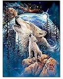 Bougimal Diamant Painting Bilder (30cmx40cm), 5D Diamant Painting Full für Erwachsene Geschenk Wall Decoration, Wolf