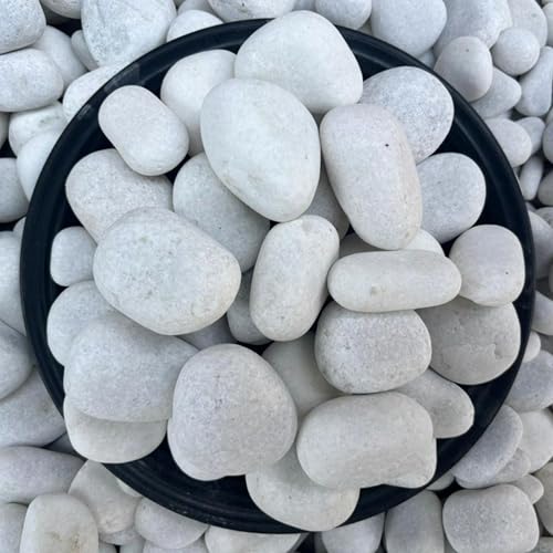 Image of Foodie Puppies Unpolished White Decorative Stones (5Kg, Jumbo Extra Large) (8cm - 12cm) for Garden Landscaping, Swimming Pools, Fish Tanks, Home Decor, Indoor & Outdoor Decorative Pebbles