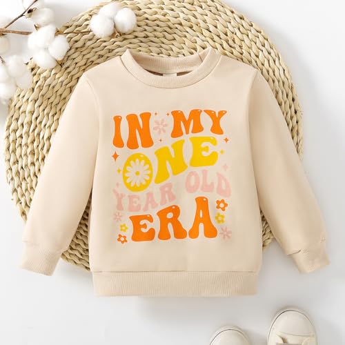 Image of Toddler Baby Girl First Birthday Outfit In My One Year Old Era Sweatshirt Tops Little Princess 1st Birthday Clothes