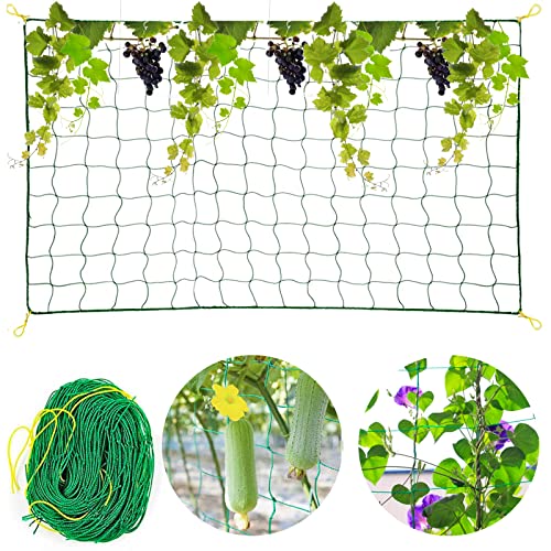 jiuzcare Red de Enrejado Premium Red para Plantas Trepadoras Trellis Red de Jardín Enredadera Malla Redes para Balcones Red de Celosía para Plantas Trepadoras Adecuado para Pepinos, Tomates, 1.8 * 3m