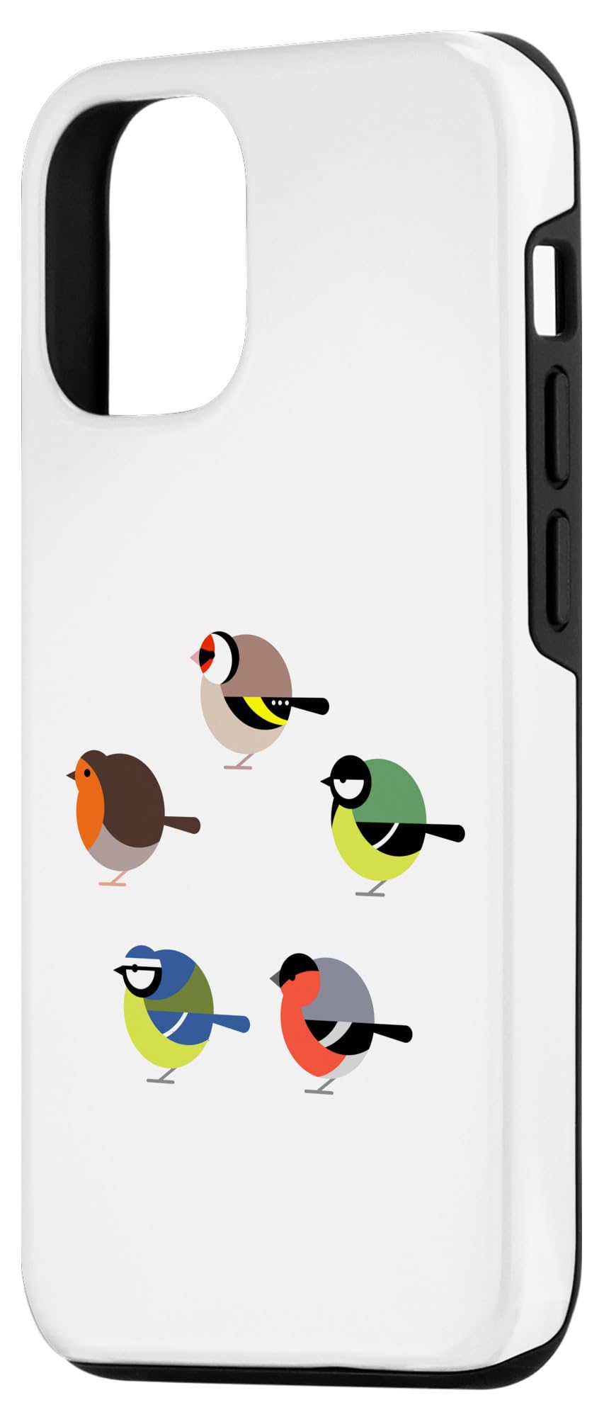 Amazon.com: iPhone 13 Pro Cute Robin, Goldfinch, Bullfinch, Great & Blue  Paridae Birds Case : Cell Phones & Accessories