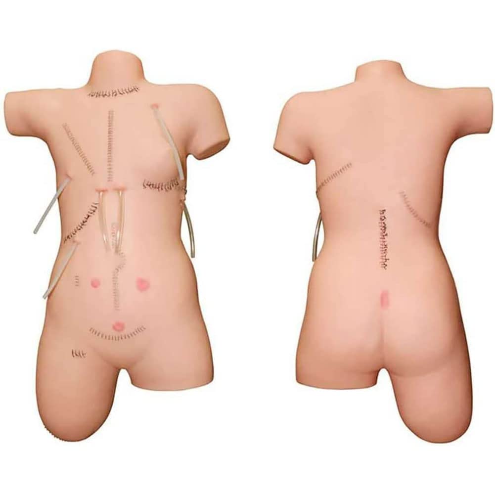 GTHTUHFD Human Model Premium Suture Model Patient Care Manikin For Medical Students, Suture Stitching, Training Manikin For Training Education & Demonstration Ideal Practice
