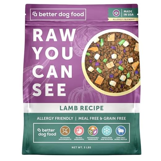 A Better Treat | Allergy Friendly Lamb Dry Dog Food | Raw You Can See | No Chicken, Lamb Only Animal Protein, No Meal Ingredients, Grain Free | Stomach Soothing Kibble + Freeze Dried Raw Dog Food