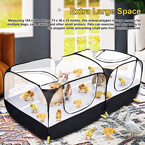 Coolty Piccolo Animali Box Pop-up, Grande