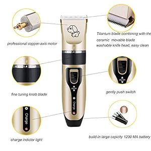 Pet grooming kit forfit professional rechargeable cordless dog grooming clippers kit low noise electric hair trimming clippers set with comb guides stain steel scissors nail kits and popular groomi   cucciolini doodles