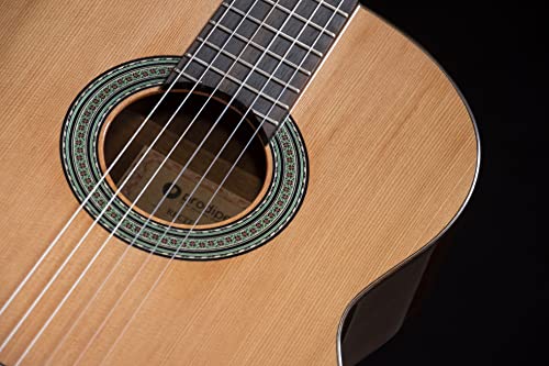 Prodipe Guitare classique à 6 cordes (Recital 300) - Les Beatles, Paul McCartney, John Lennon, RIngo Starr, George Harrison Prodipe Guitare classique à 6 cordes (Recital 300) – Image 4