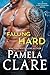Falling Hard: A Colorado High Country Novel (Volume 3)
