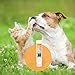 Alfavet Dia Tab® Dia-Röhre | 1 x 12 à 5,5 g | Diät-Ergänzungsfuttermittel für Hunde und Katzen