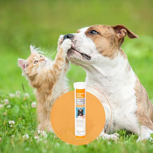 Alfavet Dia Tab® Dia-Röhre | 1 x 12 à 5,5 g | Diät-Ergänzungsfuttermittel für Hunde und Katzen