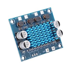 Versterkermodule, zeer efficiënte digitale versterkerkaart Compact formaat voor audioapparatuur