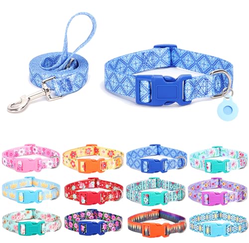 SLZZ Dog Collar with lead Airtag Holder Case Set