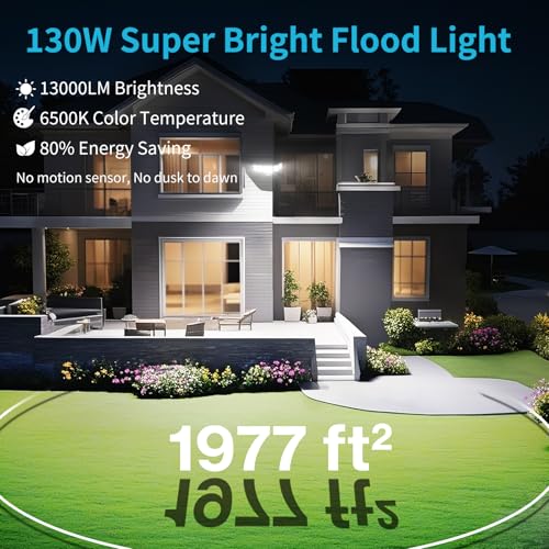 Motion Sensor Floodlight with Security Camera