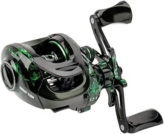 Moulinet de pêche à la baitcasting, système de freinage magnétique pour la pêche en Eau salée et en Eau Douce, Moulinet de pêche avec roulements à Billes en Acier Inoxydable 18 + 1BB, Disponible en