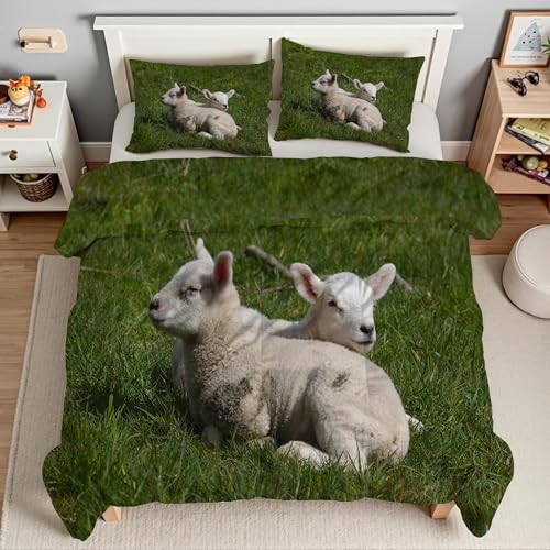 Housse de couette 160x200 en microfibre douce et finitions zip