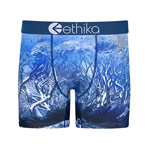 Ethika Men’s Mid Boxer Brief, 4-Way Stretch Performance Underwear with Graphic Prints – Arctic Vibes - Mid (BWH, XL)