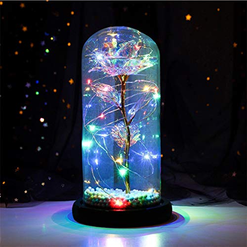 Gifts for Girlfriend,Galaxy Flower Rose,Beauty and The Beast Rose in Glass,Unique Gifts is for Girlfriend，Christmas， Anniversary,Valentine s Day