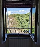 RINGHIERA Parapetto Balaustra per finestra in Ferro Realizzazioni personalizzate 1854 Detr...