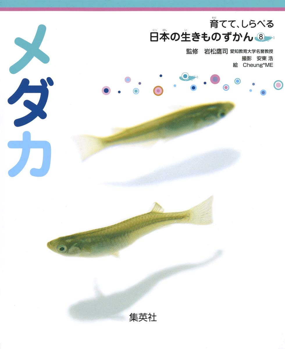 育てて、しらべる 日本の生きものずかん 8 メダカ | 岩松 鷹司, 安東