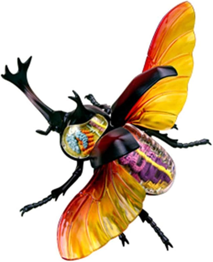 心臓　模型　中村　nakamura 学校備品　理科　病院　接骨院　整体　カイロ Amazon.co.jp: 胴体心臓脳骨格医学部教育4Dヘラクレスオオカミ解剖学的