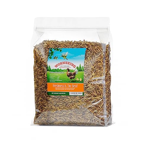 WORMSKING 2LB Dried Mealworms for Poultry, Wild Birds,Tasty Bird Food