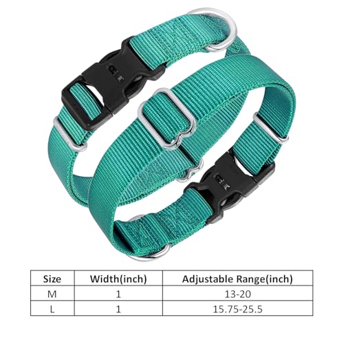 Collar de nylon para perros Mikivery ajustable M teal miniatura 3