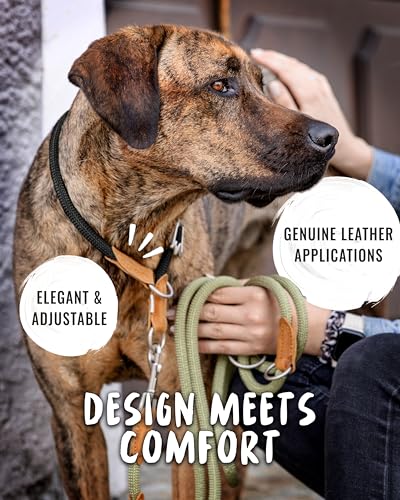 Rudelkönig Hundehalsband Emma - Elegantes Zugstopp Halsband aus Leder und Nylon - ø 12mm - Bequemes Tau Halsband für mittelgroße Hunde in schwarz