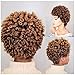 Lady Miranda Mixed Brown Kinky Curly Wig Short Afro Curly Heat Resistant Synthetic Hair Full Wigs For Women (Brown&Light brown)