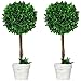 Produktbild HOMCOM 2er-Set Künstlicher Buchsbaum groß 60 cm, Kunstpflanze UV-beständig, Plastik Künstliche Pflanzen im Topf, Kunstbaum, Fake Plant wie echt für Wohnzimmer Schlafzimmer Büro Garten Deko Geschenk