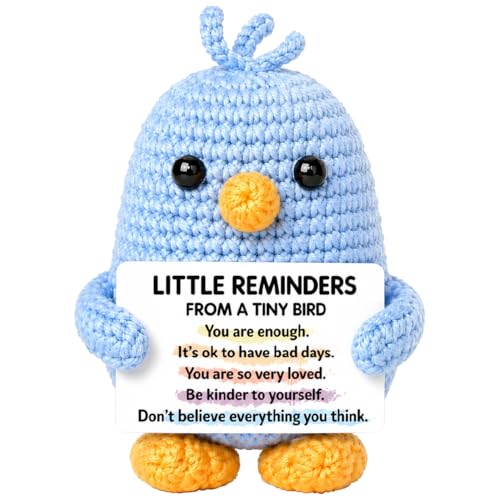 Skyists Positive Crochet Blue Bird Gifts for Women Men Emotioanl Cheer up Support Birthday Graduation Gifts for Bird Lover Watcher Daughter Friend Coworker Mom Wife Teacher - Little Reminder Gift
