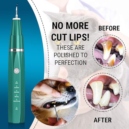 Love begans Kit di Pulizia dei Denti per Animali Domestici, Spazzolino da Denti ad Ultrasuoni con 5 modalità, Kit di Rimuovere la Placca Tartaro per Denti per Cani e Gatti, Verde