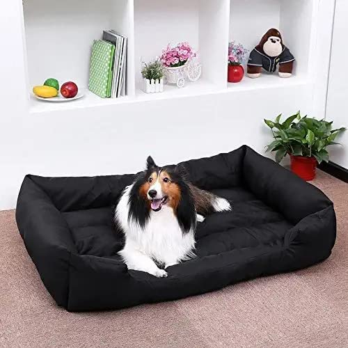 slatters be royal store Reversible Dual Ultra Soft Velvet Black Color Luxury Sofa Bed PET Bed | Dog Bed | CAT Bed | Puppies Puppy Bed | Rabbit Bed (B0BJVV2K3Q) Amazon Price History, Amazon Price Tracker