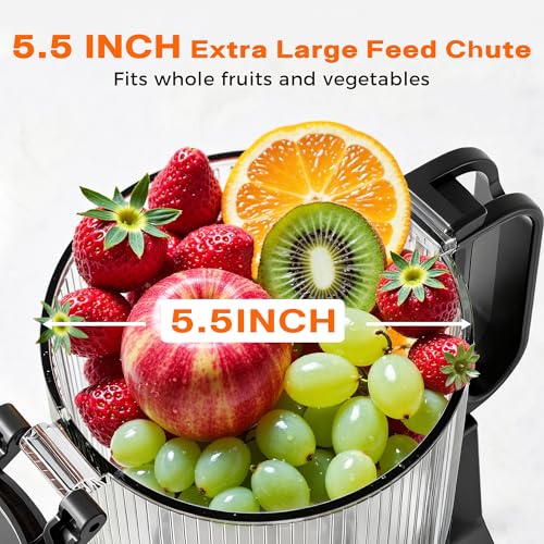 Cold Press Juicer, 5.5inch Wide Feed Chute Juicer Machine, Slow Masticating Juicer for Whole Vegetables & Fruits, Gray - Image 3