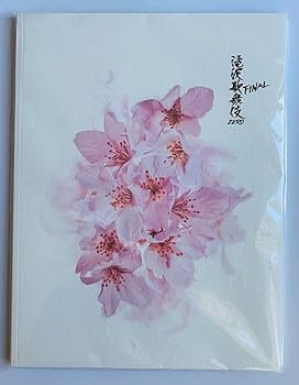 Amazon.co.jp: Snow Man 滝沢歌舞伎 【 パンフレット 】 ZERO