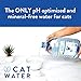 CATWATER by VETWATER | ph-Balanced and Mineral-Free Cat Water | Clinically Proven Urinary Formula | Helps Prevent Cat Urinary Issues, FLUTD | 135.2 oz, 2-Pk, Clear (CW60101-2)