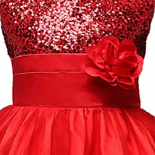 Image of Ripening Kids Sequined Ball-Gown for Your Little Princess's Birthday Celebration Girls' Dresses