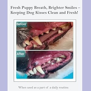 ROSEY'S PUPPY FRESH BREATH - Dog Water Additive for Dental Care - Maintains Fresh Breath & Clean Teeth for Dogs - Dog Breath Freshener for Promoting Healthy Gums & Fights Plaque Buildup - 8 Oz ROSEYS PUPPY FRESH BREATH Dog Water Additive for Dental Care Maintains Fresh Breath Clean Teeth for Dogs Dog Breath Freshener for Promoting Healthy Gums Fights Plaque Buildup 8 Oz
