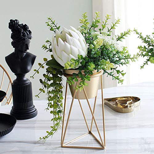E S 72 20 Pflanzenstander Eisenrahmen Gold Blumenstander Einfach Modern Mode Sparen Sie Platz Wohnzimmer Innen Kunst Und Schonheit Blumenstander Mit Blumentopf Multi Tier Blumenregal