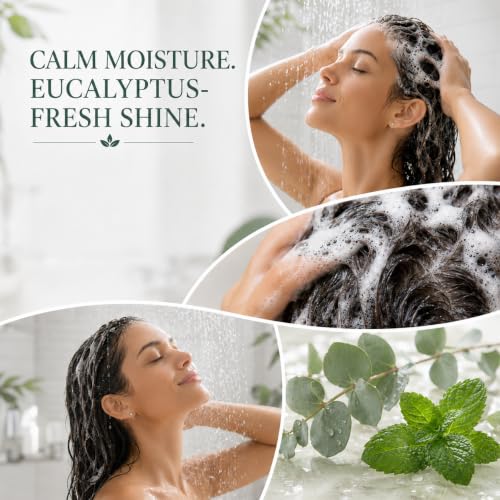 Image of Ginger Lily Farms Botanicals Shampoo, 128oz, Eucalyptus Tranquility | 100% Vegan & Cruelty-Free | Moisturizing Shampoo for All Hair Types | Refill Size