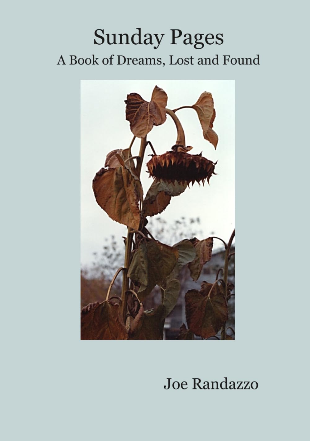 Sunday Pages: A Book of Dreams, Lost and Found