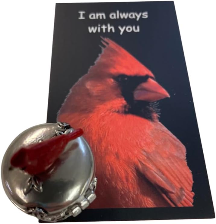 Westmon Works Cardinal Memorial - Juego de mini caja de baratijas con tarjeta de oración reconfortante