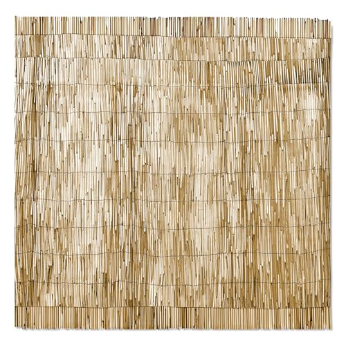 TIENDA EURASIA – Valla Natural | Cañizo Jardin Ocultacion | Color Natural | Madera de Sauce | Vallas Jardin Exterior | Decoracion de Ambientes | para Balcón y Jardín (100 x 500 cm)