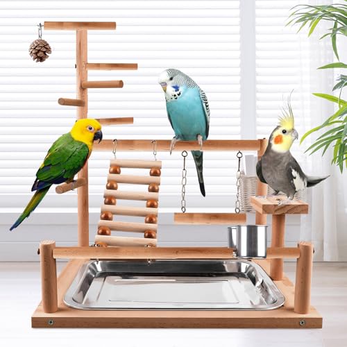 Wellensittich Spielplatz,Vogelspielplatz aus Holz,Papageienspielständer mit Feeder Cup,Spielzeug Leiter Erklimmen Schaukel und Tablett,Vogelspielzeug Spielplatz Vogel-Spielplatz,Papageienspielzeug