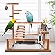 Wellensittich Spielplatz,Vogelspielplatz aus Holz,Papageienspielständer mit Feeder Cup,Spielzeug Leiter Erklimmen Schaukel und Tablett,Vogelspielzeug Spielplatz Vogel-Spielplatz,Papageienspielzeug