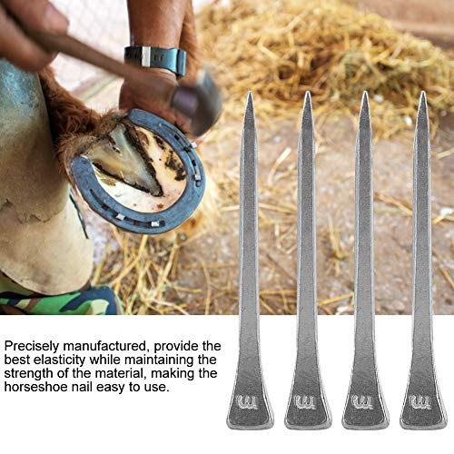 Clavo para pezuñas para caballos FOLOSAFENAR de acero con rigidez adecuada E5 3
