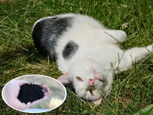 Futterkohle für Hunde (2000g) – ohne Zusätze | von keep it grün | perfekte Körnung zur Futterbeigabe | kann Schad- und Giftstoffe binden | rein pflanzlich